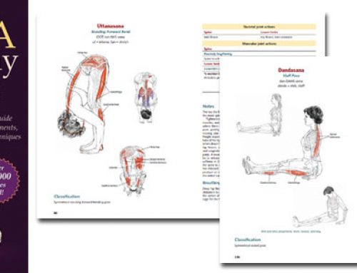 Yoga Anatomy – 2nd Edition