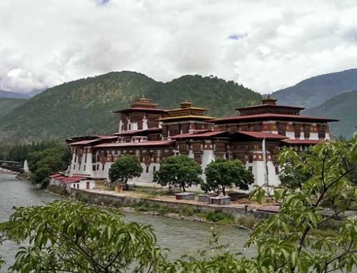 Meditation in Bhutan: Awakening the Thunder Dragon